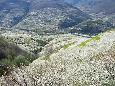 Luna Διαμέρισμα Hervás